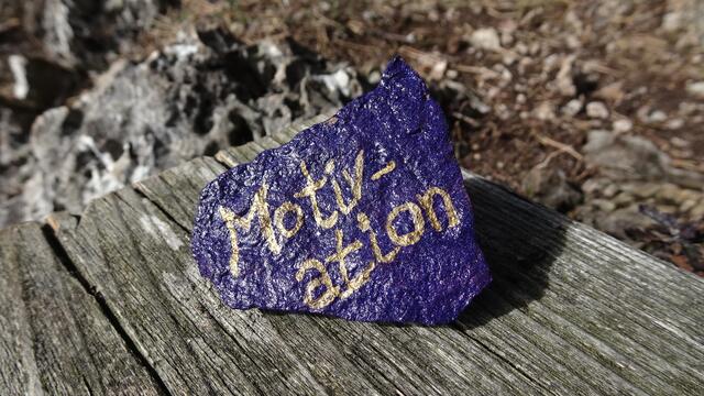 Foto: © Silvia Plischek