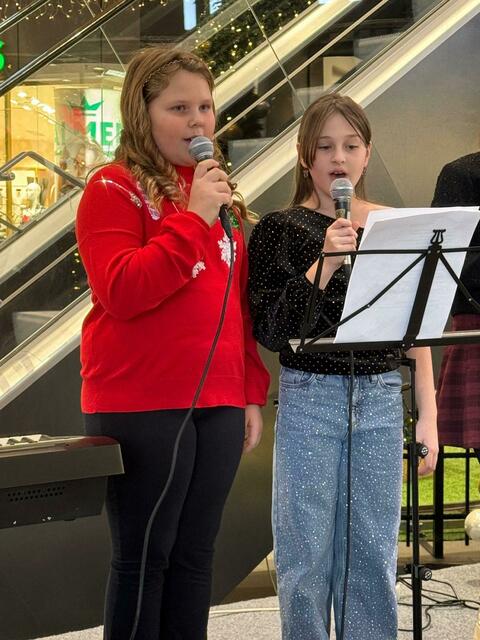 Nicht nur Instrumente, auch Gesang wird in den Musikschulen unterrichtet. | Foto: Musikschule Ligist