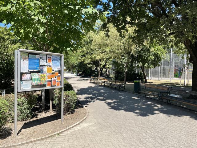 Im Schönbornpark kann man seine sportlichen Vorsätze in die Tat umsetzen. | Foto: Tobias Schmitzberger