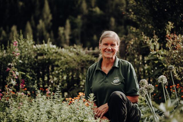 Bei einem Spaziergang durch die Natur zeigt Maria Haberl interessierten Schulklassen und Erwachsenen die verschiedenen Kräuter. Sie werden geerntet und anschließend zu einem Menü verkocht und genossen. | Foto: Freilichtmomente/GenussReich