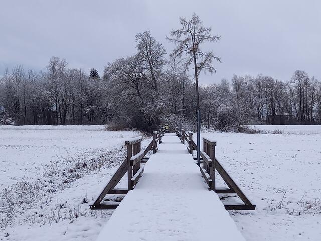 Foto: H. Bachinger