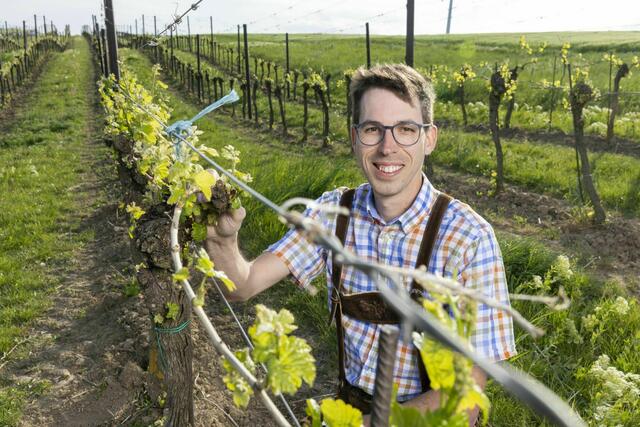 Alexander aus dem Weinviertel (Bezirk Gänserndorf) | Foto: Ernst Kainerstorfer