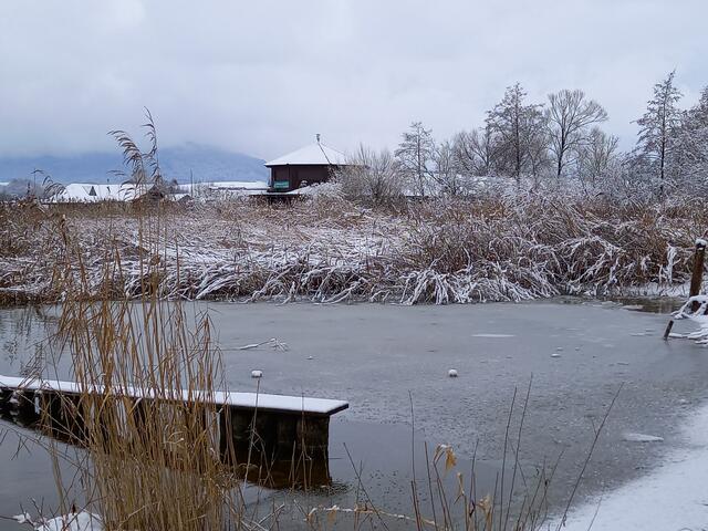 Foto: H. Bachinger