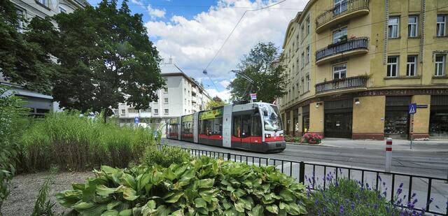In der Camillo-Sitte-Gasse wurde die Straßenbahnlinie 9 im Jahr 2023 laut Wiener Linien 31 Mal durch Falschparker blockiert.  | Foto: Johannes Zinner