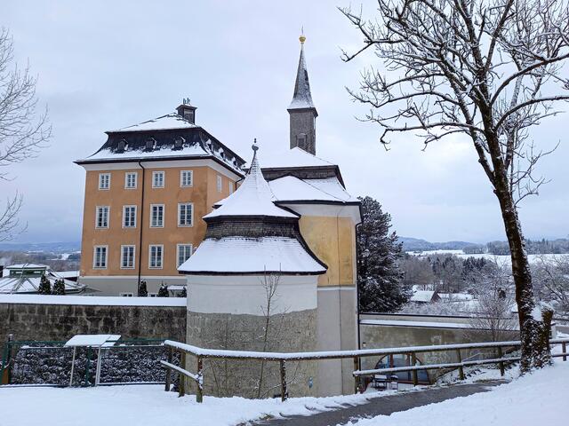 Foto: H. Bachinger