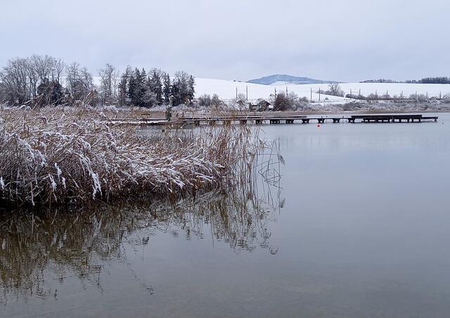 Wallersee  | Foto: H. Bachinger