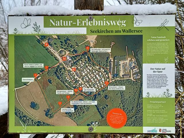 Foto: H. Bachinger