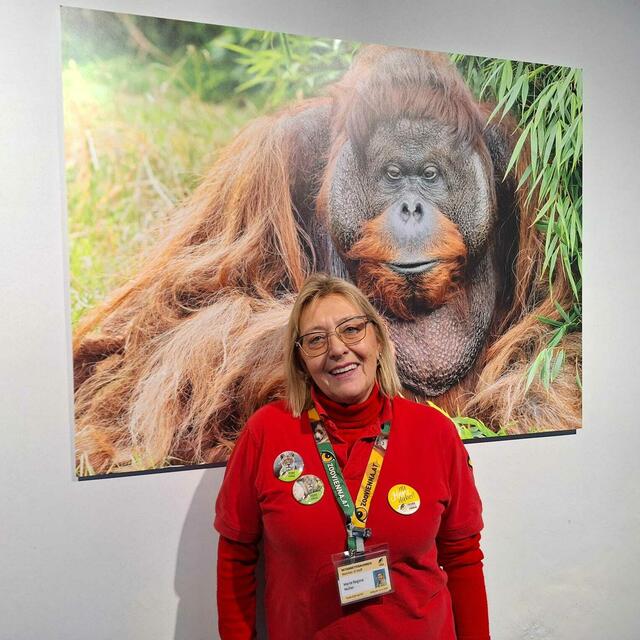 Die Heldin aus Hietzing heißt Maria-Regina Müller. Sie arbeitet ehrenamtlich im Tiergarten Schönbrunn.  | Foto: Michael Ellenbogen