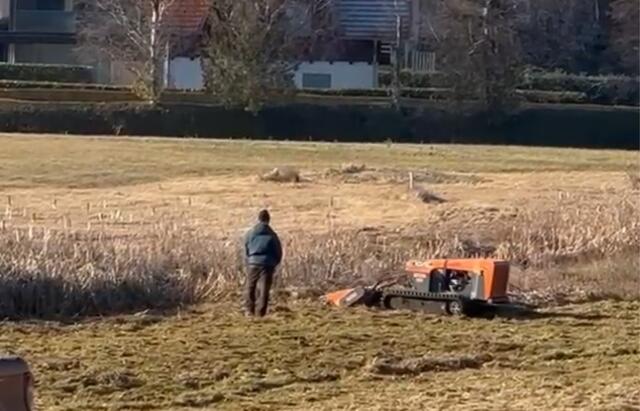 Wie im Video ersichtlich ist, wird das Schilf gemäht. Kritiker sehen in den Arbeiten, die auf der Feuchtfläche erfolgen eine versteckte Absichte. | Foto: Privat