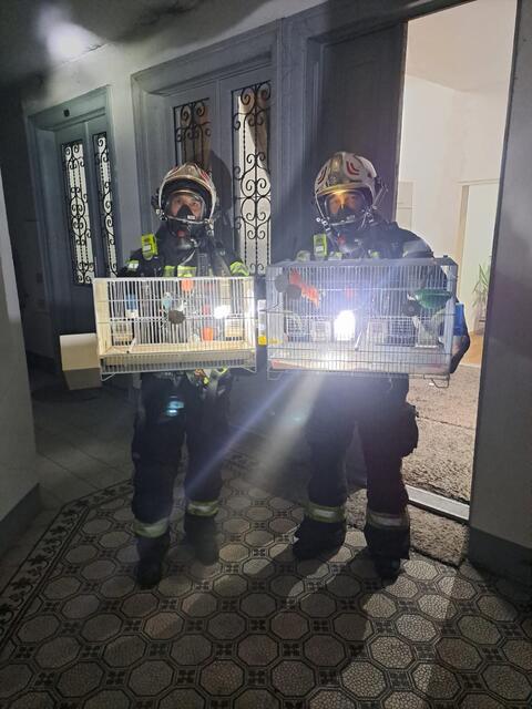 Foto: Berufsfeuerwehr Wien