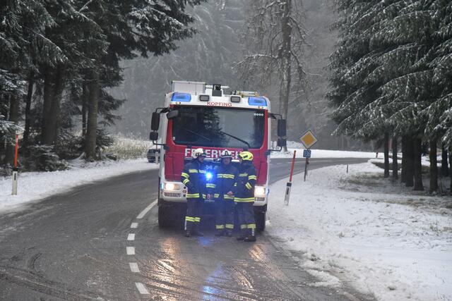 Foto: Alois Braid/zema-medien.de