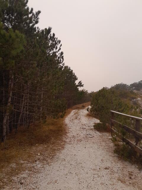 Führt der Weg drum rum?