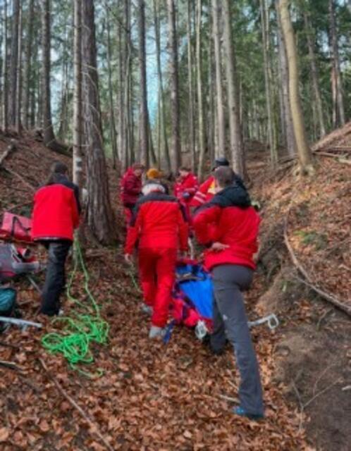 Am Seil gesichert und unter ständiger Überwachung, brachten die Einsatzkräfte den Patienten sicher zum Tal. | Foto: Bergrettung Reichenau/Rax