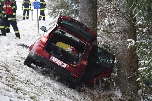 Foto: Alois Braid/zema-medien.de