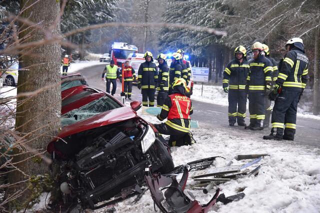 Foto: Alois Braid/zema-medien.de