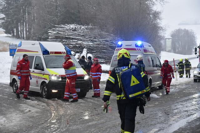Foto: Alois Braid/zema-medien.de