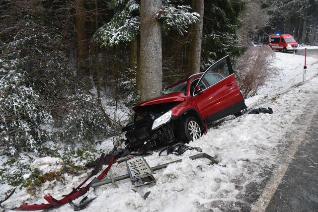 Foto: Alois Braid/zema-medien.de