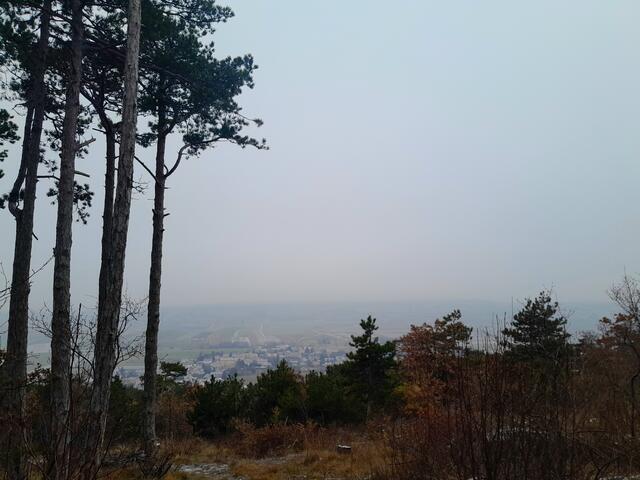 Ein Blick auf Gainfarn durch den Nebel, später wurde er noch dichter