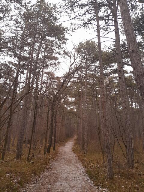 Manche Wege sind gerade - tut gut