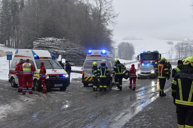 Foto: Alois Braid/zema-medien.de
