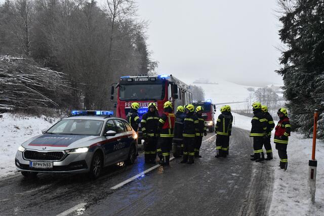 Foto: Alois Braid/zema-medien.de