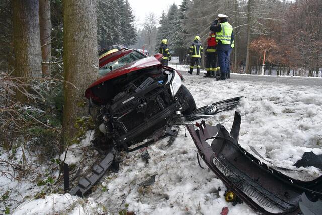 Foto: Alois Braid/zema-medien.de