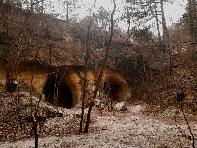 Vorsichtig lugen wir in die Höhlen