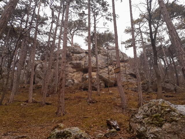 Verschieden Felsformationen sind in den föhrenwäldern zu sehen