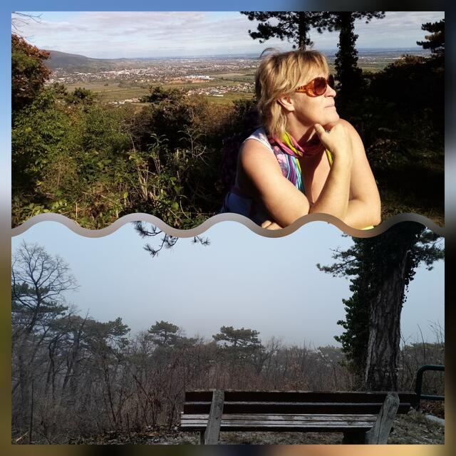 Blick auf Bad Vöslau von der gleichen Stelle