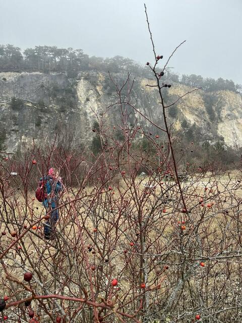 Tarnung im Steinbruch
