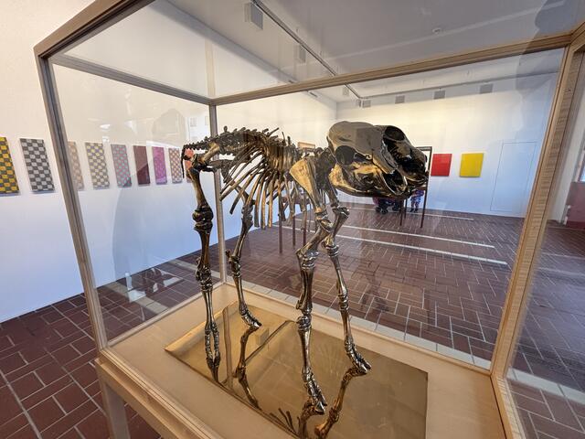 Die Ausstellung „Back and Forth“ ist nicht nur ein Highlight für Kunstkenner, sondern auch für Neugierige, die sich von der unkonventionellen und teils provokanten Herangehensweise Levines inspirieren lassen möchten.  | Foto: Kendlbacher