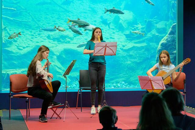 Die Jugendphilharmonie der Musikschule Innsbruck gestaltet die Vorkonzerte zu den Symphoniekonzerten am 16. und 17. Jänner im Saal Tirol. | Foto: Wolfgang Alberty