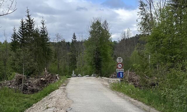 Die Brücke wird als moderne Betonbrücke ohne mittleren Pfeiler errichtet, um Hochwasserschäden durch Verklausungen zu vermeiden. Die Bauarbeiten sollen im 2. Quartal 2025 beginnen. | Foto: MeinBezirk.at