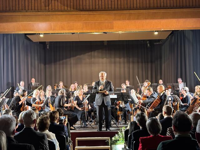 Das Symphonische Orchester Leibnitz - kurz SOL - feiert heuer das 40-jährige Bestehen. | Foto: Brigitte Gady