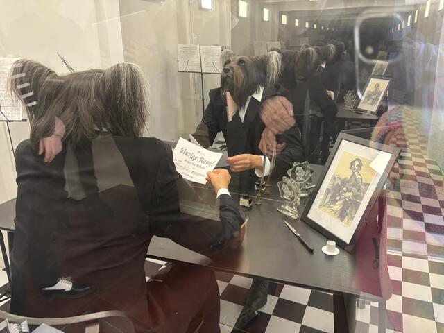 Foto: Tamara Winterthaler/MeinBezirk