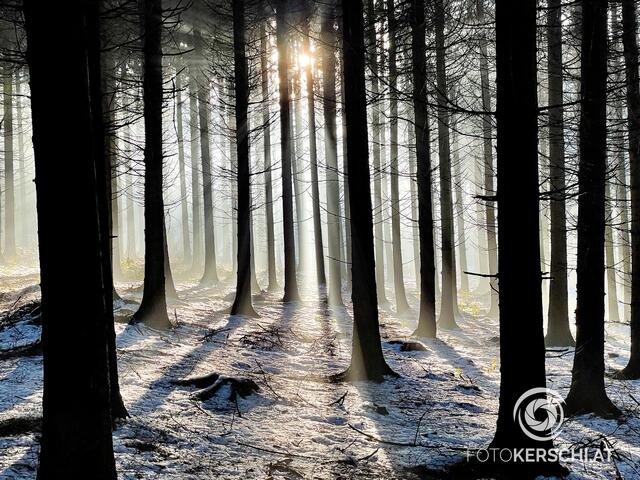 Am Wochenende wird es kalt, nur leider fällt nur wenig Schnee. | Foto: fotokerschi.at