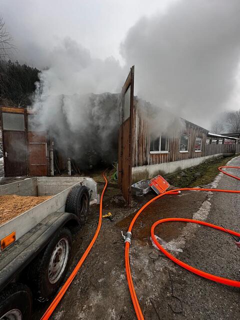 Ein Tier verendete in dem Stall aufgrund der Rauchentwicklung. | Foto: FF Wenns