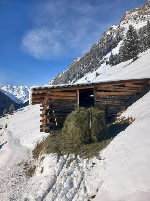 Der Arbeitsaufwand für die Bergbauern ist enorm. | Foto: Netzer