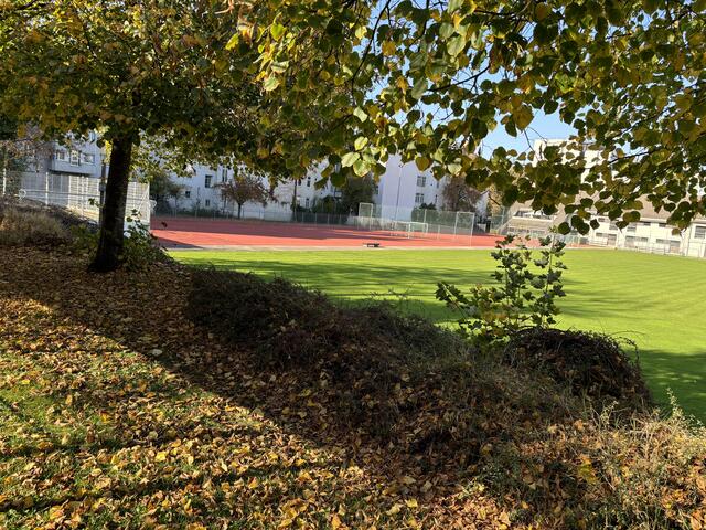 Der Bundesspielplatz Schönbrunn. (Archiv) | Foto: Karl Pufler/MeinBezirk