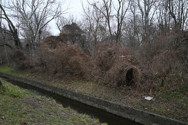 Am anderen Ufer  Wildnis