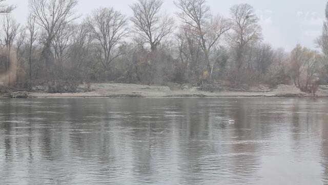 02.12.2024 Ein Blick zum Donauufer