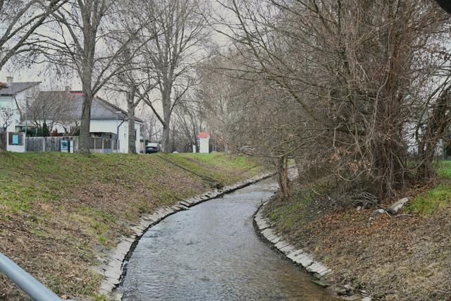 Die Fischa auf der anderen Seite