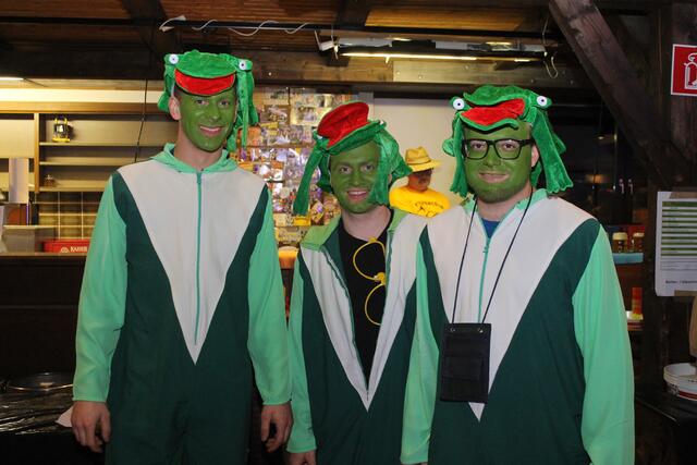 Obermühlviertler Maskenball | Foto: Aslan