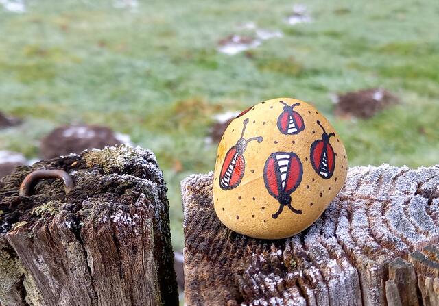 Ein Wanderstein.... | Foto: H. Bachinger