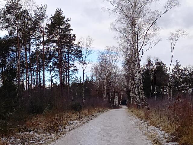 Eisig ist der Weg.... | Foto: H. Bachinger