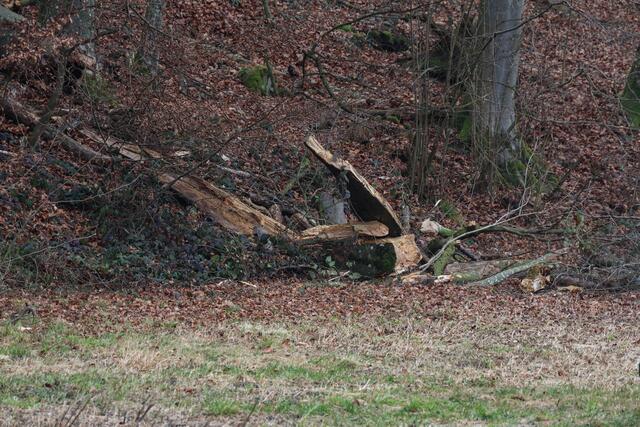 Foto: laumat.at/Matthias Lauber