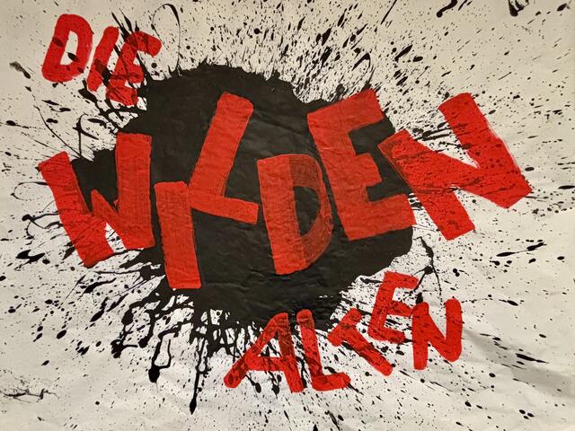 Die wilden Alten gastierten im Volkshaus Weiz. | Foto: MeinBezirk/Hofmüller