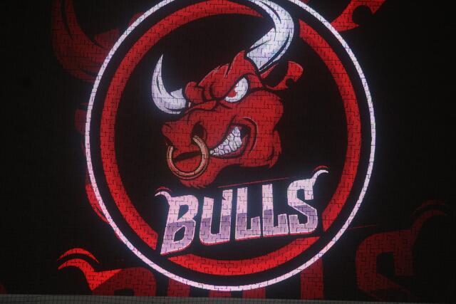 Die EC Bulls Weiz spielen diese Saison noch nicht in gewohnter Stärke. | Foto: MeinBezirk/Hofmüller