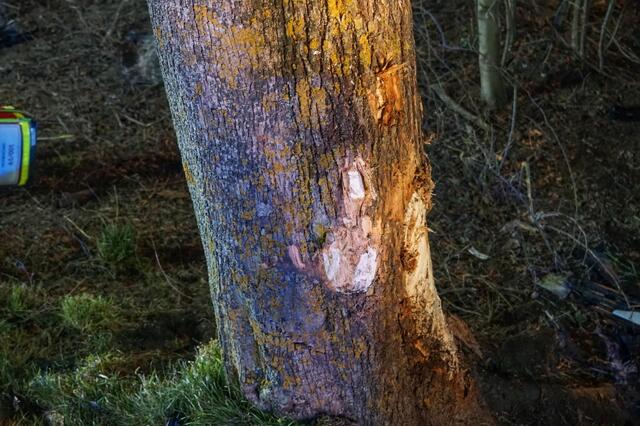 Foto: Feuerwehren Willendorf, Würflach