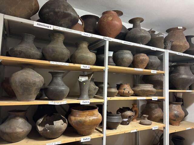 Thomas Koch Waldner ist neuer Archäologe im Keltenmuseum Hallein. | Foto: Thomas Fuchs